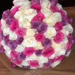 Meet your Posher, Jenn